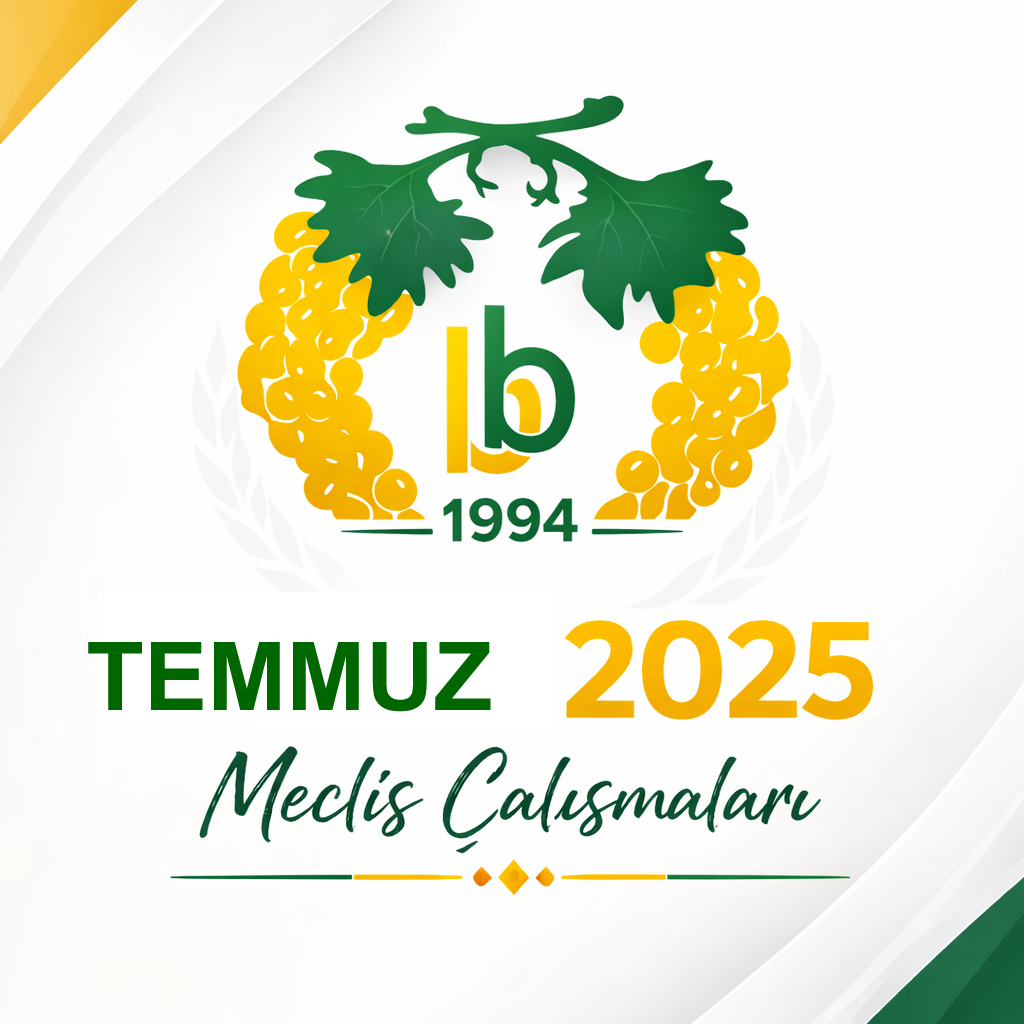 TEMMUZ 2025 MECLİS ÇALIŞMALARI
