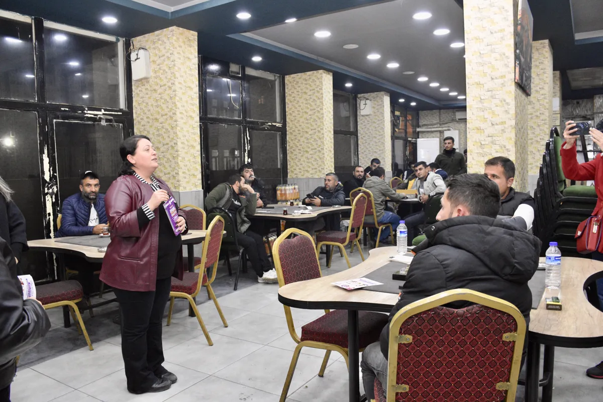 Eş Başkan Ayaz: Kadına yönelik şiddet tüm toplumun sorunudur