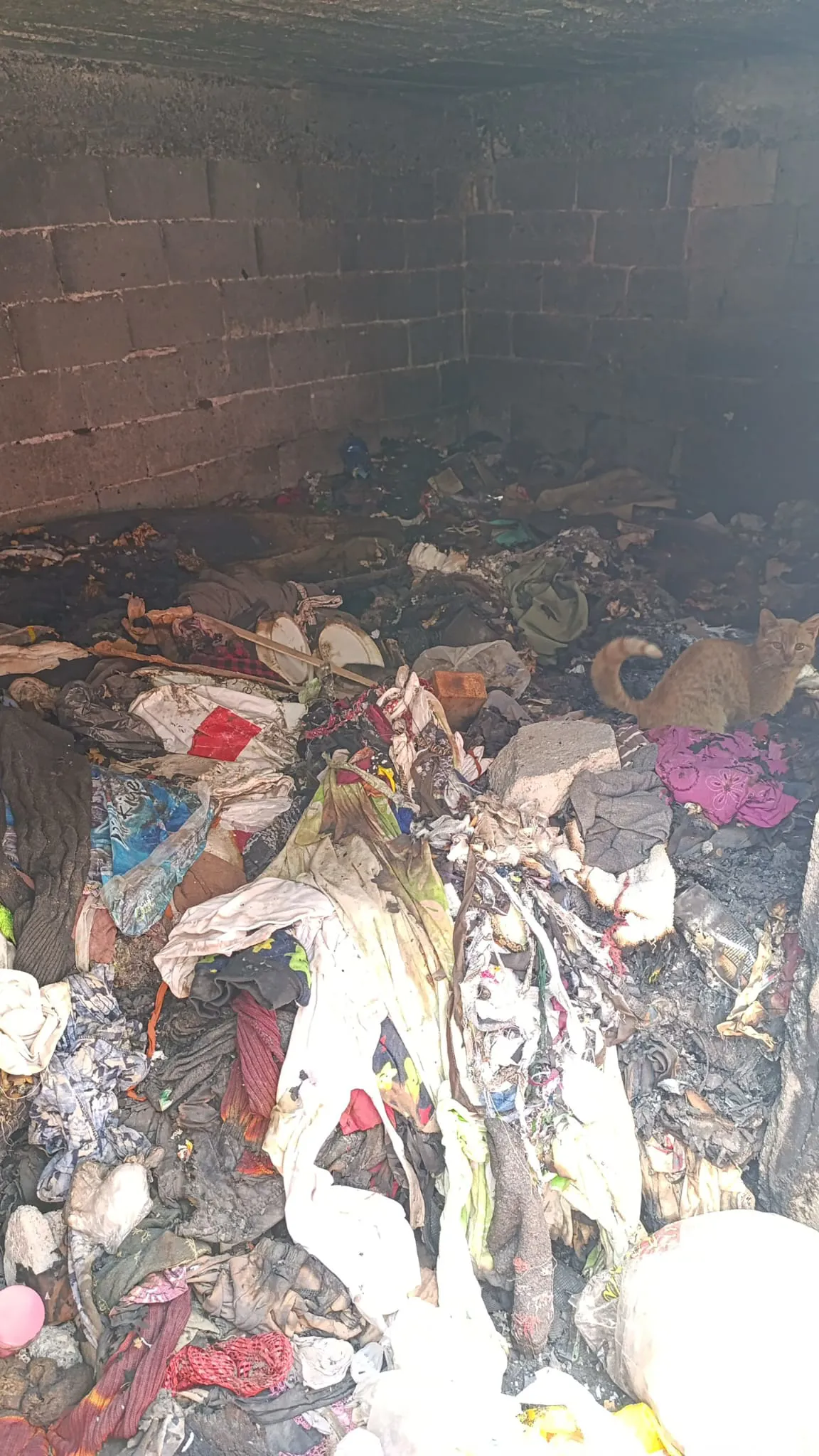 Bağlar Belediyesi Temizlik İşleri Müdürlüğü, aylardır temizlenmeyen yıkık ve metruk evlerin temizliğine başladı.