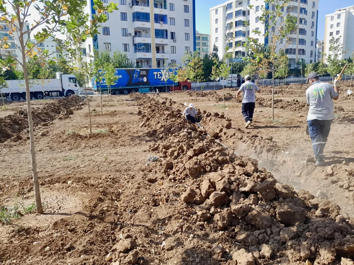 Yeşil alanlarda bakım ve altyapı çalışmaları sürüyor