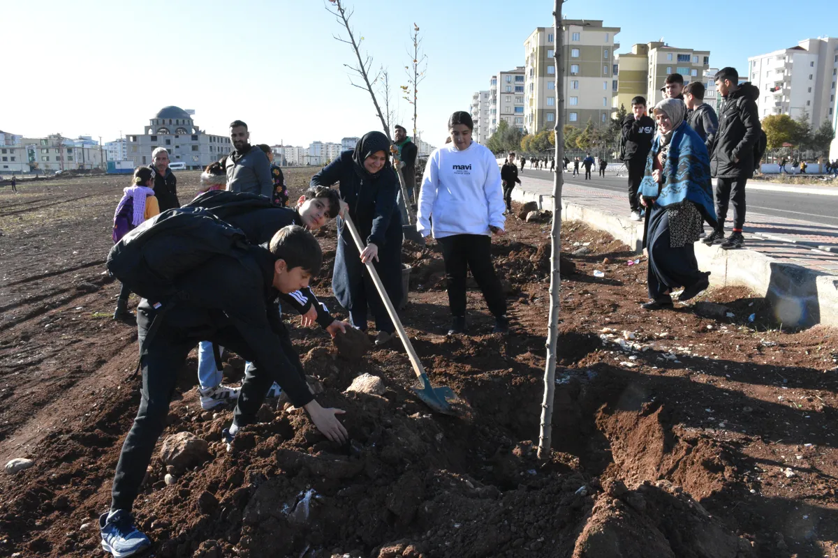 Park ve Bahçeler Müdürlüğü  yeşil çevre ve sosyal alanlar için çalışıyor