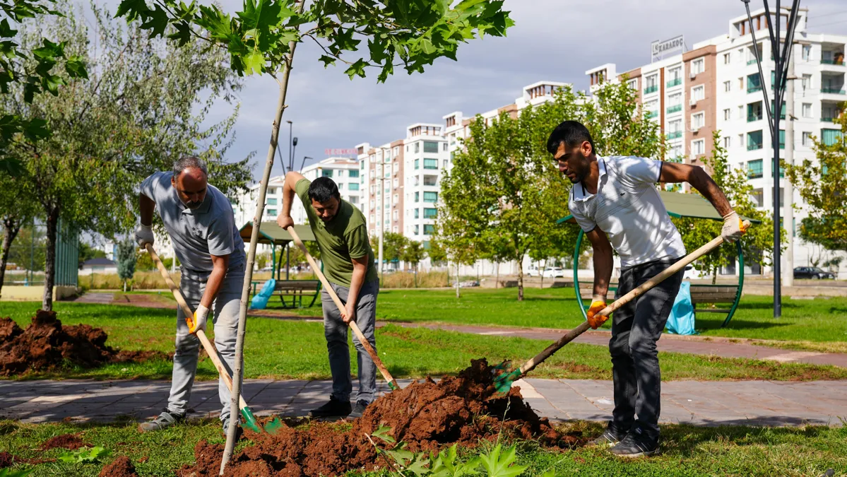 Yeşil alanlar artıyor