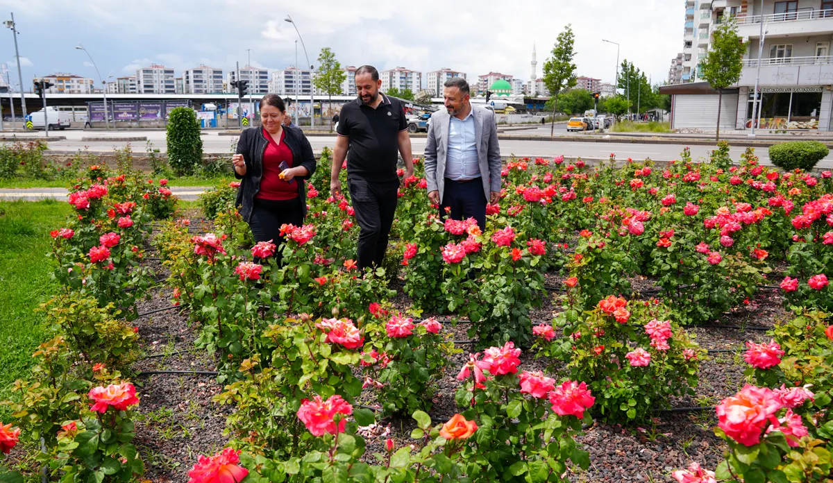 Eş Başkan Ayaz, Gül Bahçesini ziyaret etti