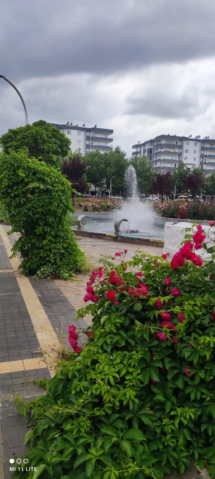 Park ve Bahçeler Müdürlüğümüz çalışmalarına tüm hızıyla devam ediyor.