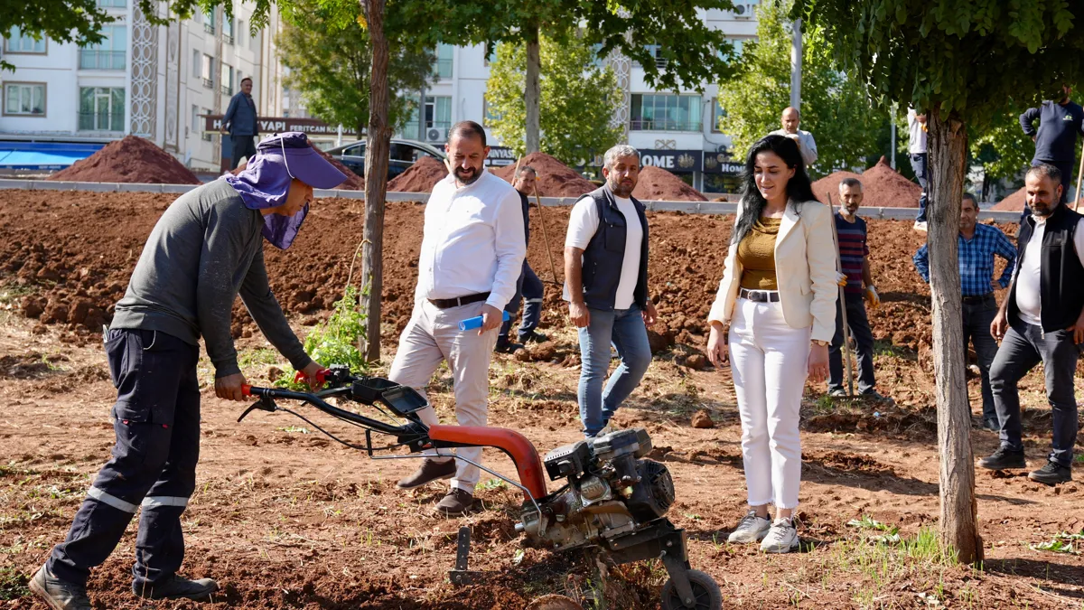 Ahmed Arif Parkı adım adım tamamlanıyor