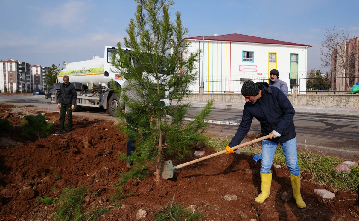 Bağcılar Mahallesi Ağaçlandırılıyor: 250 Ağaç Dikildi