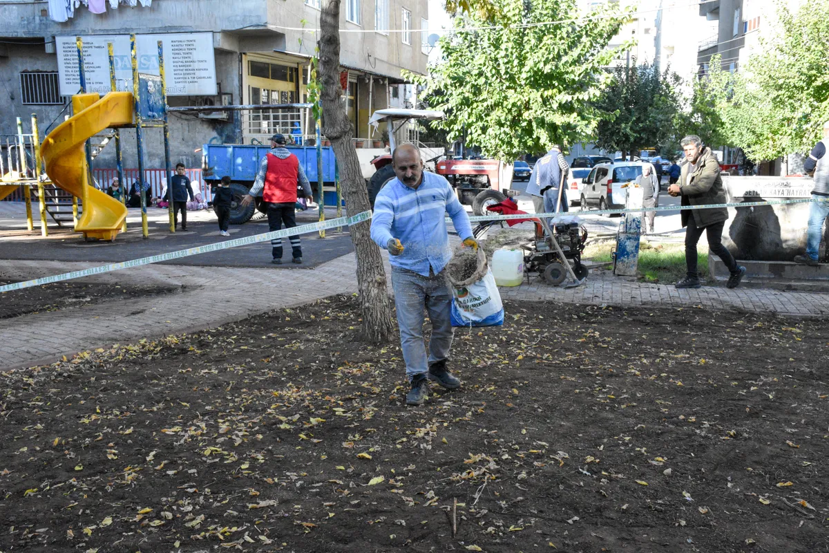 Yeşil ve sosyal alanlar için çalışmalar devam ediyor