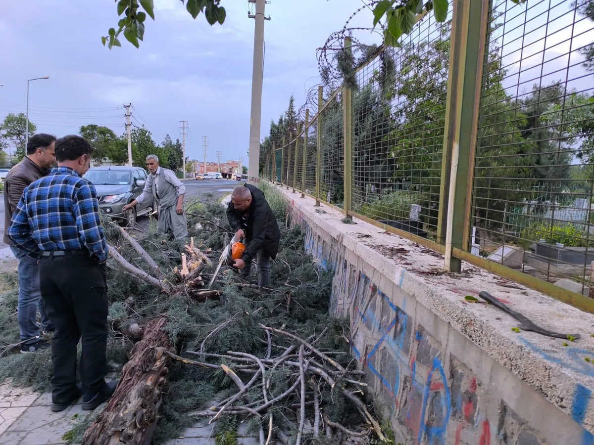 Olumsuz hava koşullarına karşı ekipler sahada
