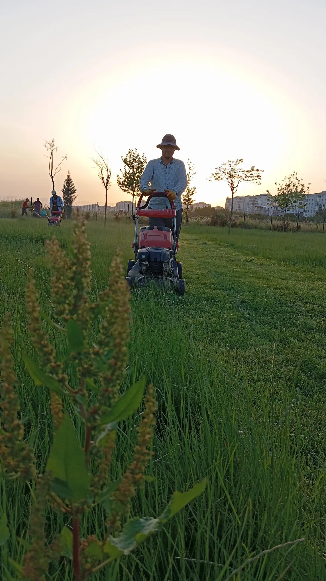 Park  ve Bahçe Müdürlüğümüz gece ve gündüz çift vardiya şeklinde çalışmalara devam ediyor.
